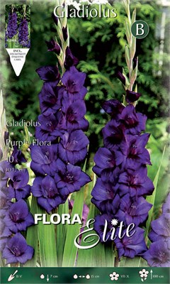  Purple Flora 785481