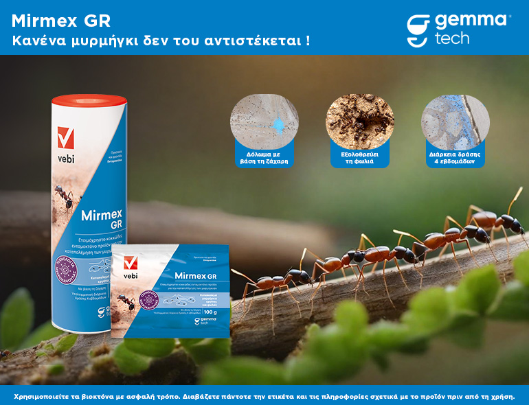 Mirmex GR