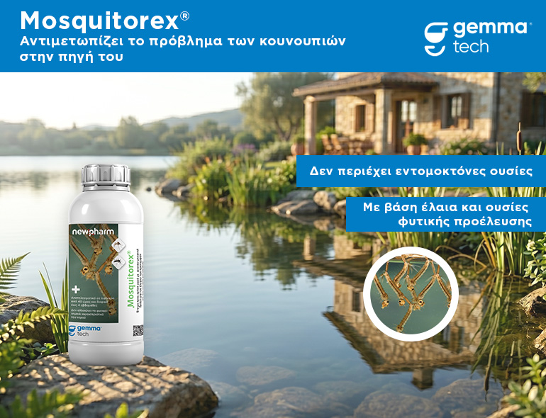 Mosquitorex