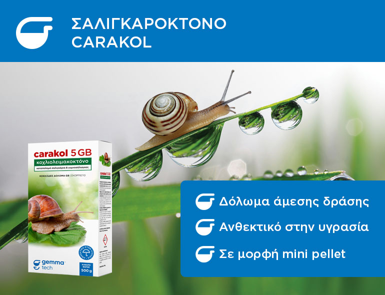 Carakol new