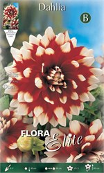 ������ Duet 616846