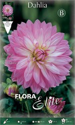 ������ Christine 613623