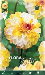 ������ Special ������� Double Jill 792021