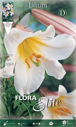  Trumpet Regale 839023