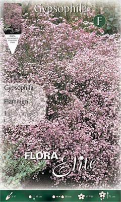  Flamingo 826351