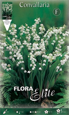  Convallaria 821172