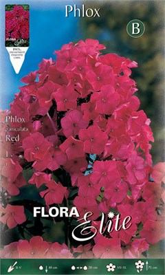 Φλοξ Paniculata Red 844621