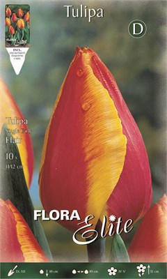  Flair  690273