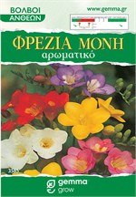 ������ ���� ����� 3585