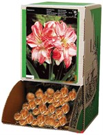 ���������� Double record 14201023