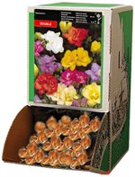 ������� ������ ����� (���.7+) R495 (200 ���)