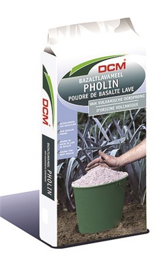 Pholin Basalt Lava   DCM