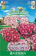      HORTUS