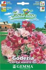      HORTUS