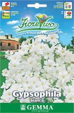   ()   HORTUS