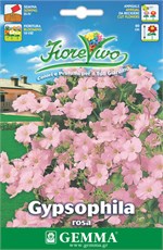   ()   HORTUS