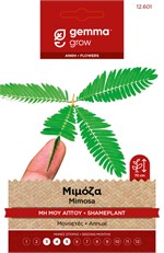 ������ (�� ��� �����) ������� ������