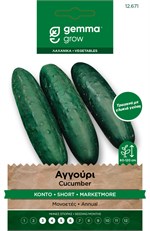 Αγγούρι κοντό · Short cucumber 12671