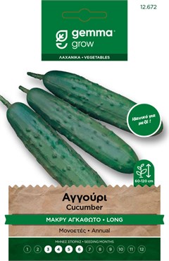 Αγγούρι μακρύ αγκαθωτό · Long cucumber 12672