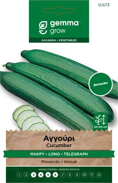 Αγγούρι μακρύ · Long cucumber 12673