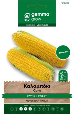 Καλαμπόκι γλυκό · Sweet corn 12688
