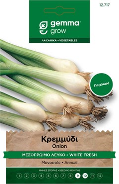 Κρεμμύδι μεσοπρώιμο λευκό · White fresh onion 12717