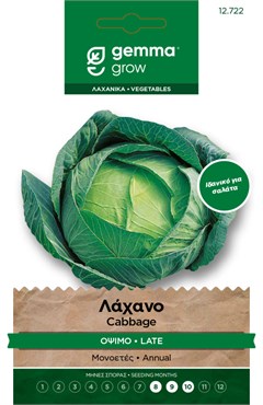 Λάχανο όψιμο · Late cabbage 12722