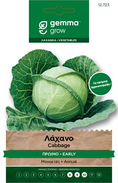 Λάχανο πρώιμο · Early cabbage 12723