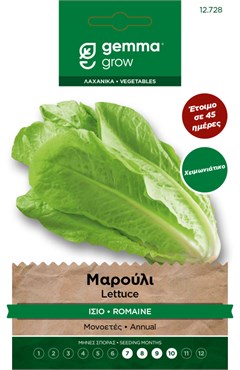   Romaine  12728