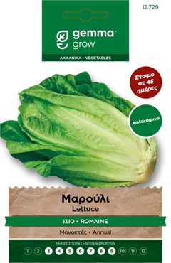 Μαρούλι ίσιο · Romaine lettuce 12729