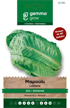 Μαρούλι ίσιο · Romaine lettuce 12730