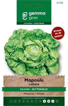Μαρούλι σαλάτα · Butterhead lettuce 12734