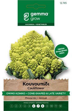 Κουνουπίδι όψιμο κωνικό · Cone-shaped & late cauliflower 12745