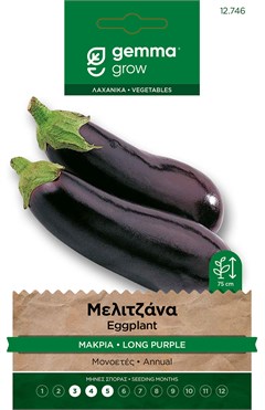 Μελιτζάνα μακριά · Long purple eggplant 12746