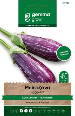 Μελιτζάνα τσακώνικη · Tsakoniki eggplant 12747