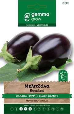 Μελιτζάνα φλάσκα μαύρη · Black Beauty eggplant 12749