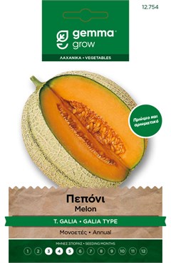 Πεπόνι τ. Galia · Galia type melon 12754