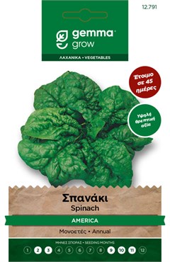 Σπανάκι · Spinach 12791