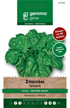 Σπανάκι γίγας · Winter giant spinach 12793