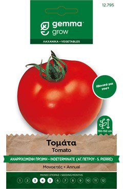 Τομάτα αναρριχώμενη πρώιμη · Indeterminate tomato 12795