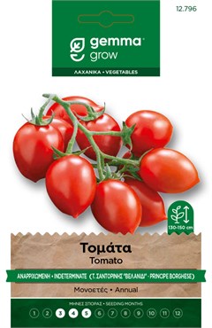 Τομάτα αναρριχώμενη · Indeterminate tomato 12796