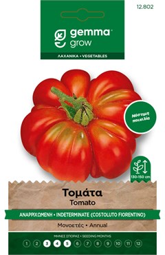 Τομάτα αναρριχώμενη · Indeterminate tomato 12802