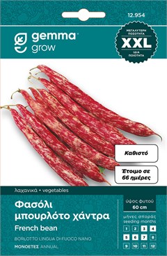     Lampo 857   XXL