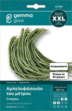     / 871   XXL