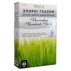   Festuca Arudinacea Mix 3+ ()  1kg
