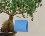 ������������� ������� ���� ������� 10 x 23 cm ( ������ 10 ������)