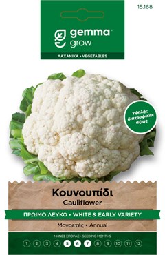 Κουνουπίδι πρώιμο λευκό · White & early cauliflower 15168