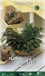 ����������� ���� ��� �������� 848476