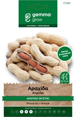 ������� (������� �������) ������� ������