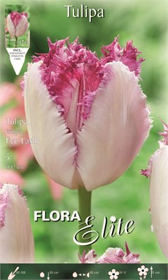  Fringed Eyelash 817472